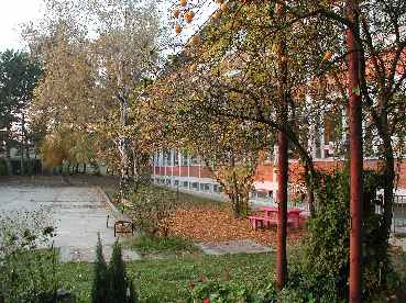 The school yard in autumn